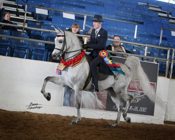 2012 Scottsdale Show | Schatzberg/Osteen