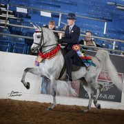 2012 Scottsdale Show | Schatzberg/Osteen