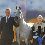 2012 Scottsdale Show | Schatzberg/Osteen