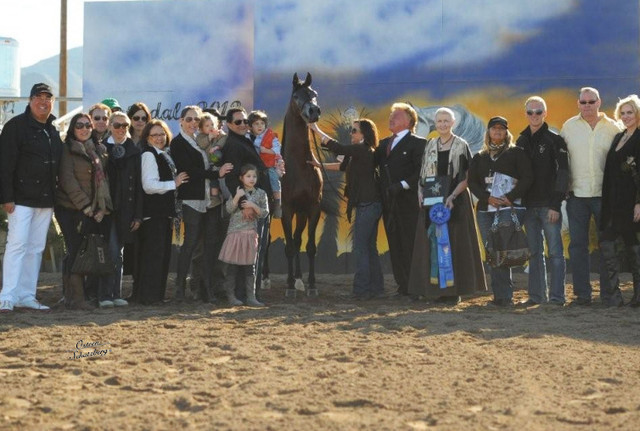 2012 Scottsdale Show | Schatzberg/Osteen