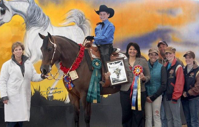 2012 Scottsdale Show | Schatzberg/Osteen