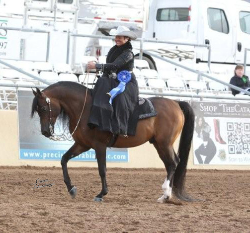 2012 Scottsdale Show | Schatzberg/Osteen