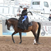 2012 Scottsdale Show | Schatzberg/Osteen