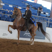 2012 Scottsdale Show | Schatzberg/Osteen