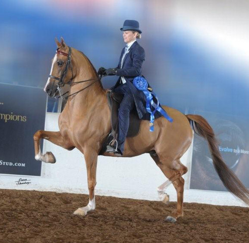 2012 Scottsdale Show | Schatzberg/Osteen