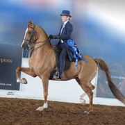 2012 Scottsdale Show | Schatzberg/Osteen