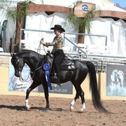 2012 Scottsdale Show | Schatzberg/Osteen