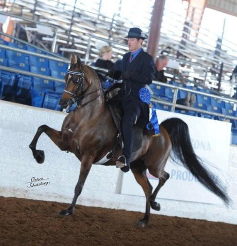 2012 Scottsdale Show | Schatzberg/Osteen