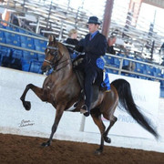 2012 Scottsdale Show | Schatzberg/Osteen
