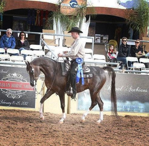 2012 Scottsdale Show | Schatzberg/Osteen