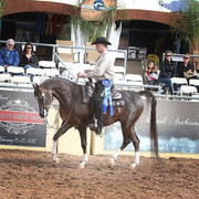 2012 Scottsdale Show | Schatzberg/Osteen