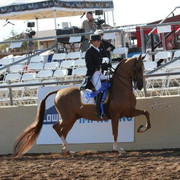 2012 Scottsdale Show | Schatzberg/Osteen