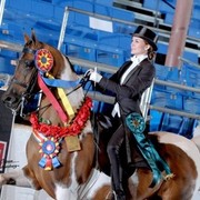 2012 Scottsdale Show | Schatzberg/Osteen