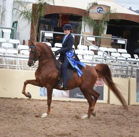 2012 Scottsdale Show | Schatzberg/Osteen