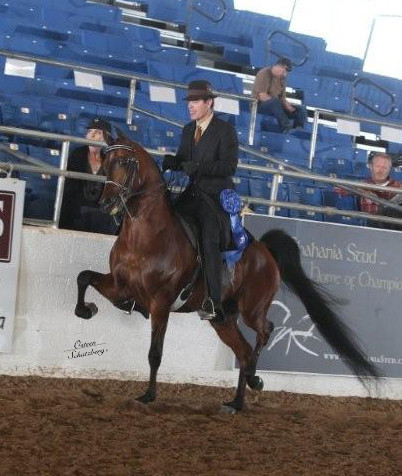 2012 Scottsdale Show | Schatzberg/Osteen