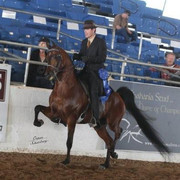 2012 Scottsdale Show | Schatzberg/Osteen