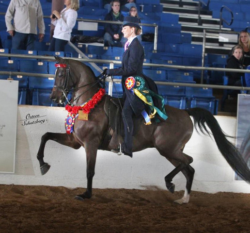 2012 Scottsdale Show | Schatzberg/Osteen