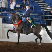 2012 Scottsdale Show | Schatzberg/Osteen