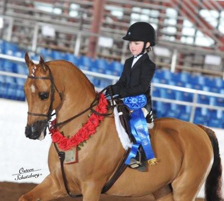 2012 Scottsdale Show | Schatzberg/Osteen