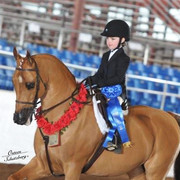 2012 Scottsdale Show | Schatzberg/Osteen