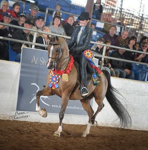 2012 Scottsdale Show | Schatzberg/Osteen