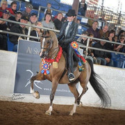 2012 Scottsdale Show | Schatzberg/Osteen