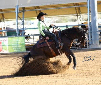 2012 Scottsdale Show | Schatzberg/Osteen
