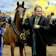 2012 Scottsdale Show | Schatzberg/Osteen