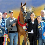 2012 Scottsdale Show | Schatzberg/Osteen