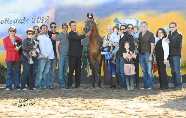 2012 Scottsdale Show | Schatzberg/Osteen