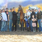2012 Scottsdale Show | Schatzberg/Osteen