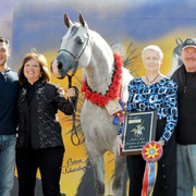 2012 Scottsdale Show | Schatzberg/Osteen