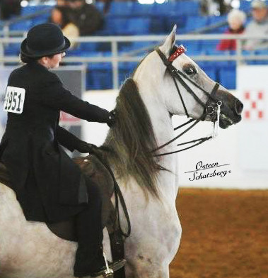 2012 Scottsdale Show | Schatzberg/Osteen