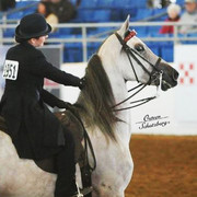 2012 Scottsdale Show | Schatzberg/Osteen