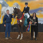 2012 Scottsdale Show | Schatzberg/Osteen