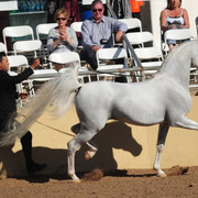 2012 Scottsdale Show | Schatzberg/Osteen