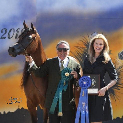 2012 Scottsdale Show | Schatzberg/Osteen