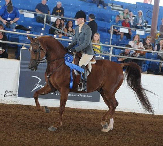 2012 Scottsdale Show | Schatzberg/Osteen
