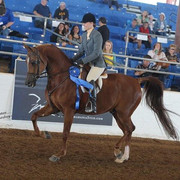 2012 Scottsdale Show | Schatzberg/Osteen