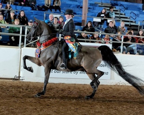 2012 Scottsdale Show | Schatzberg/Osteen