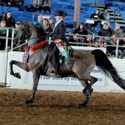 2012 Scottsdale Show | Schatzberg/Osteen