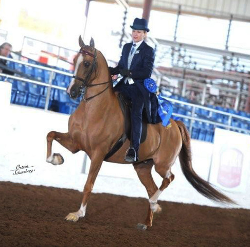 2012 Scottsdale Show | Schatzberg/Osteen