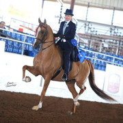 2012 Scottsdale Show | Schatzberg/Osteen