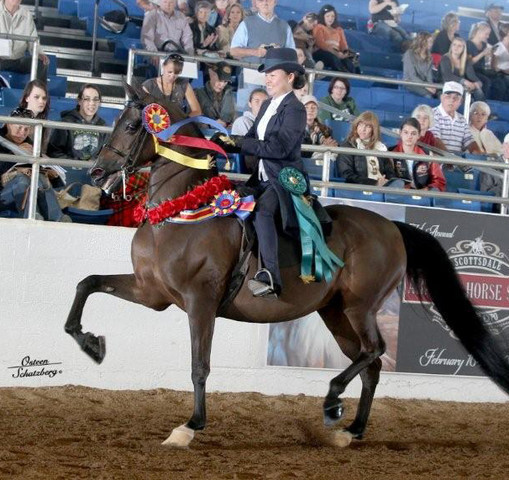 2012 Scottsdale Show | Schatzberg/Osteen