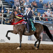2012 Scottsdale Show | Schatzberg/Osteen