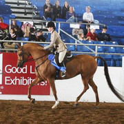 2012 Scottsdale Show | Schatzberg/Osteen