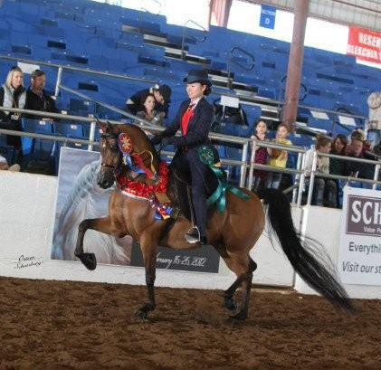 2012 Scottsdale Show | Schatzberg/Osteen