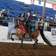 2012 Scottsdale Show | Schatzberg/Osteen