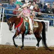 2012 Scottsdale Show | Schatzberg/Osteen