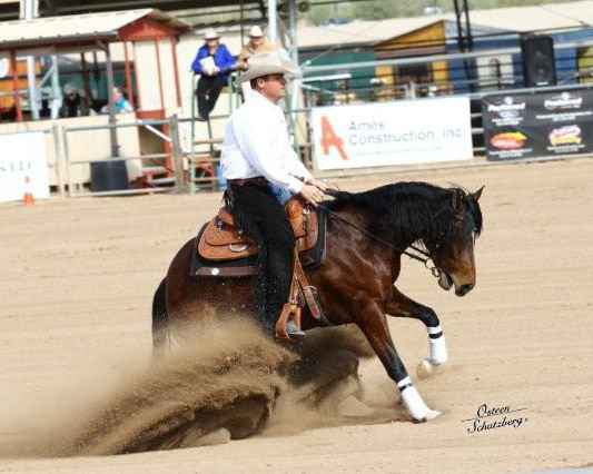 2012 Scottsdale Show | Schatzberg/Osteen